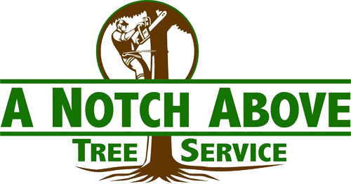 A Notch Above Tree Service